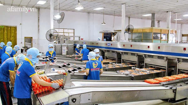 Các doanh nghiệp ứng dụng tự động hóa tiêu biểu ở Việt Nam